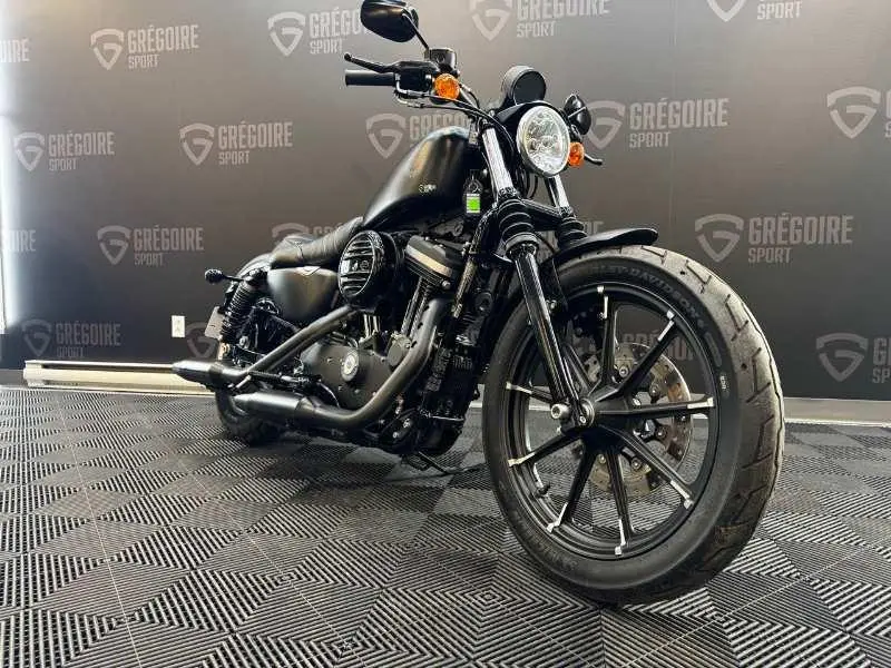 2019 Harley-Davidson XL883 IRON thumbnail 8