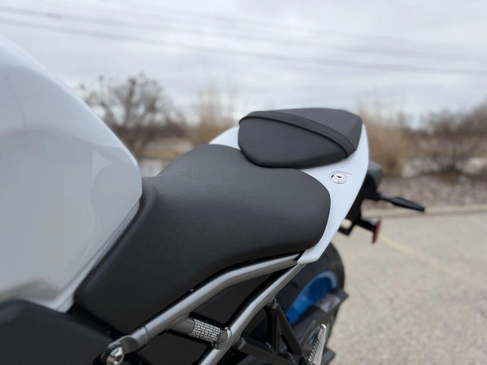2026 Suzuki Gsx-8r alt