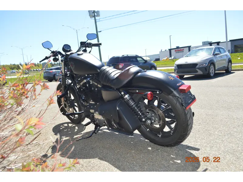 2022 Harley-Davidson XL883N thumbnail 4