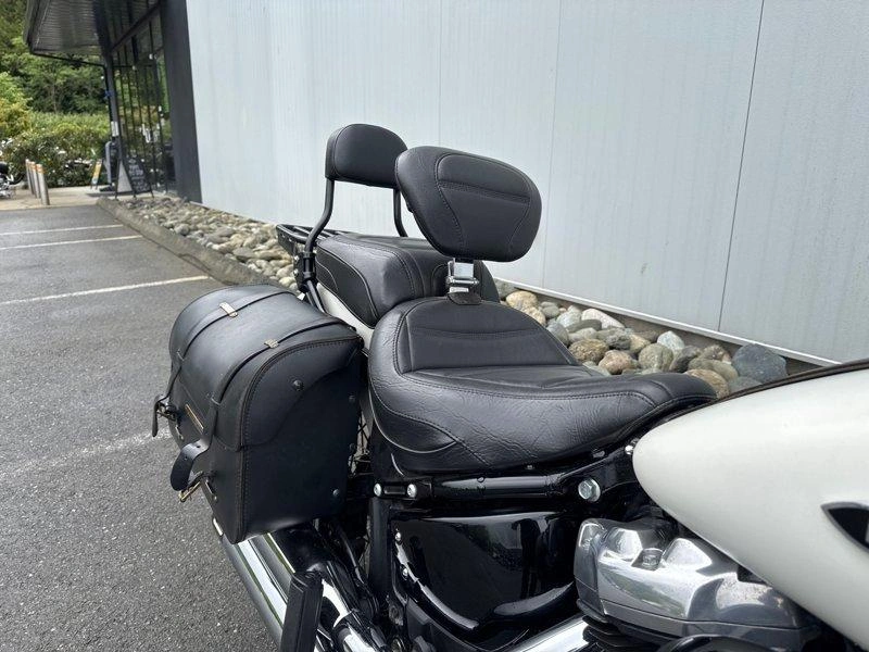 2018 Harley-davidson Flsl - Softail Slim alt