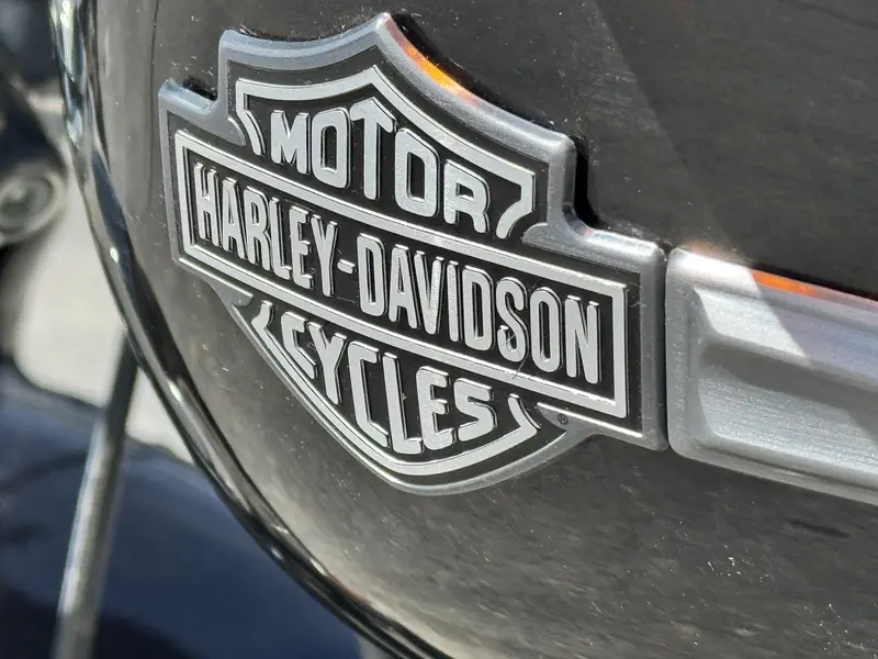 2013 Harley-Davidson DYNA FAT BOB (FXDF 103) thumbnail 8