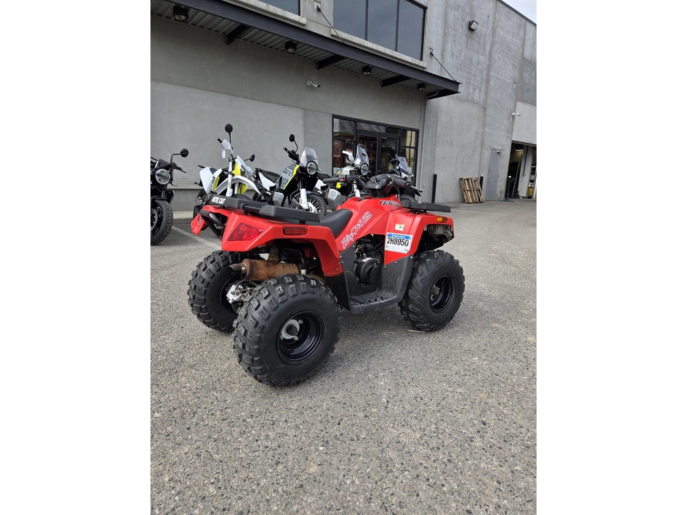 2017 Arctic Cat Alterra 90 alt