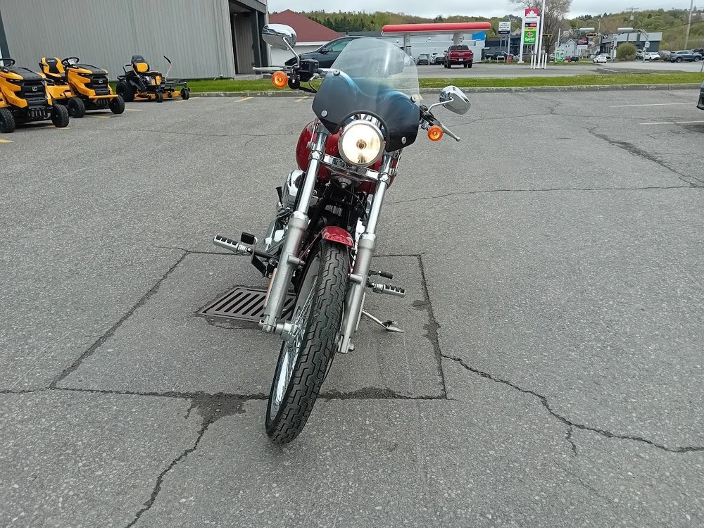 Harley-davidson Fxstc 2008 alt
