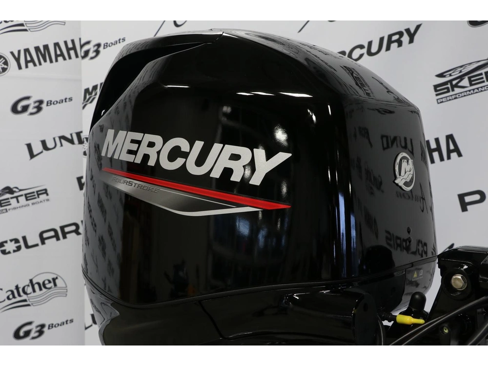 2024 Mercury 50elhpt Démarreur Élèctrique, Pied Long (20 Pouces) alt