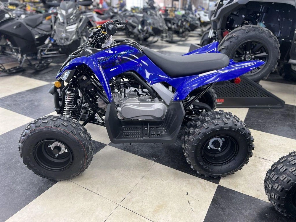 2025 Yamaha Raptor 110 alt
