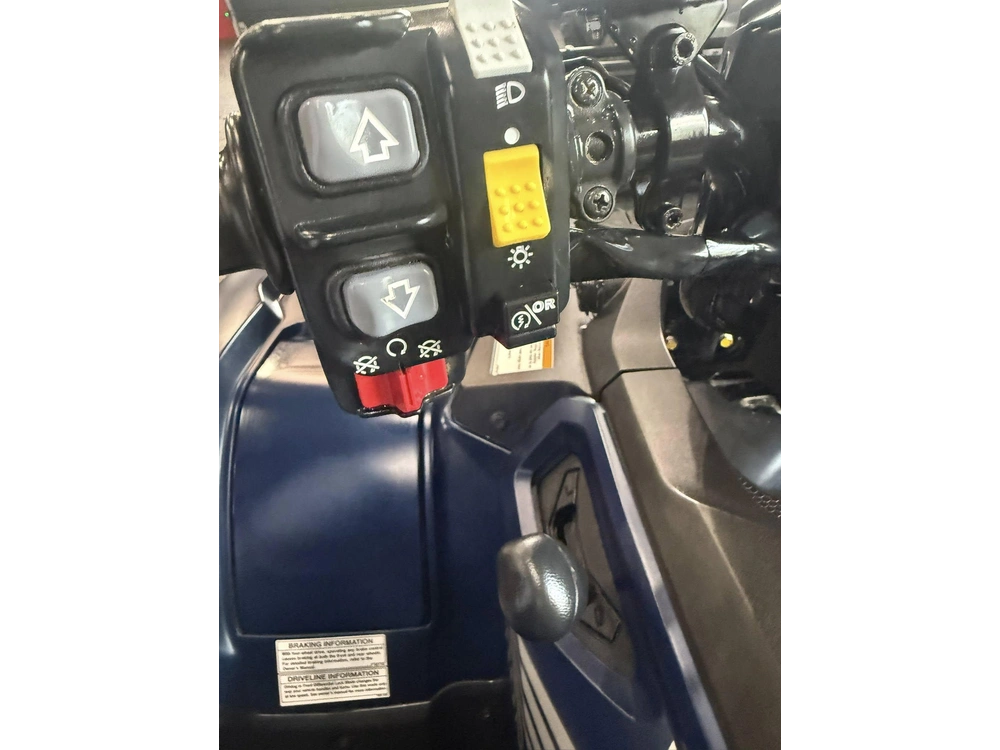 Honda Rubicon 520 Irs 2024 alt