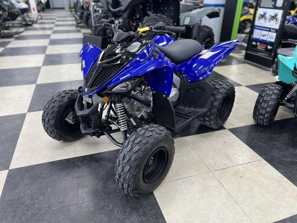 2025 Yamaha Raptor 110 alt