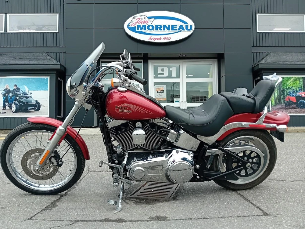 Harley-davidson Fxstc 2008 alt