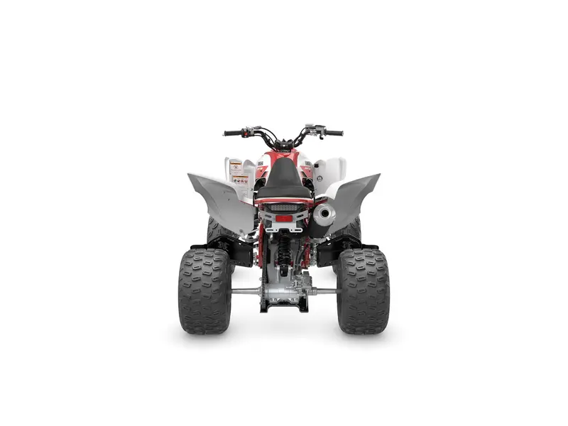 2026 Yamaha RAPTOR 700R SE 70TH BLANC/ROUG thumbnail 3