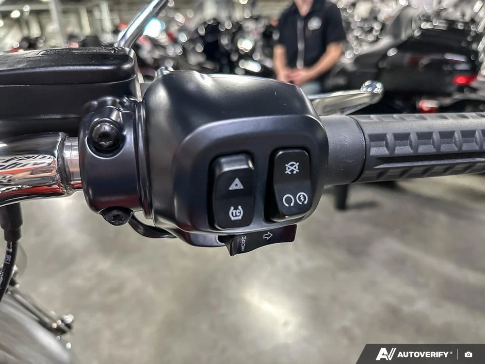 2025 Harley-davidson Fat Boy alt