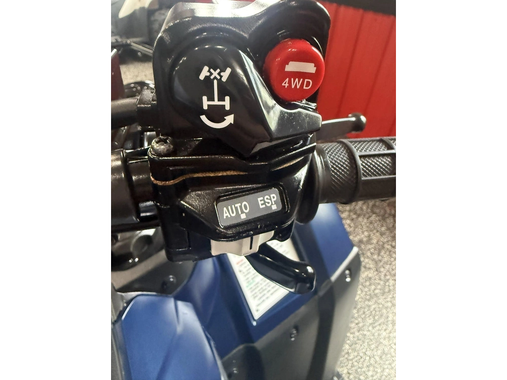 Honda Rubicon 520 Irs 2024 alt