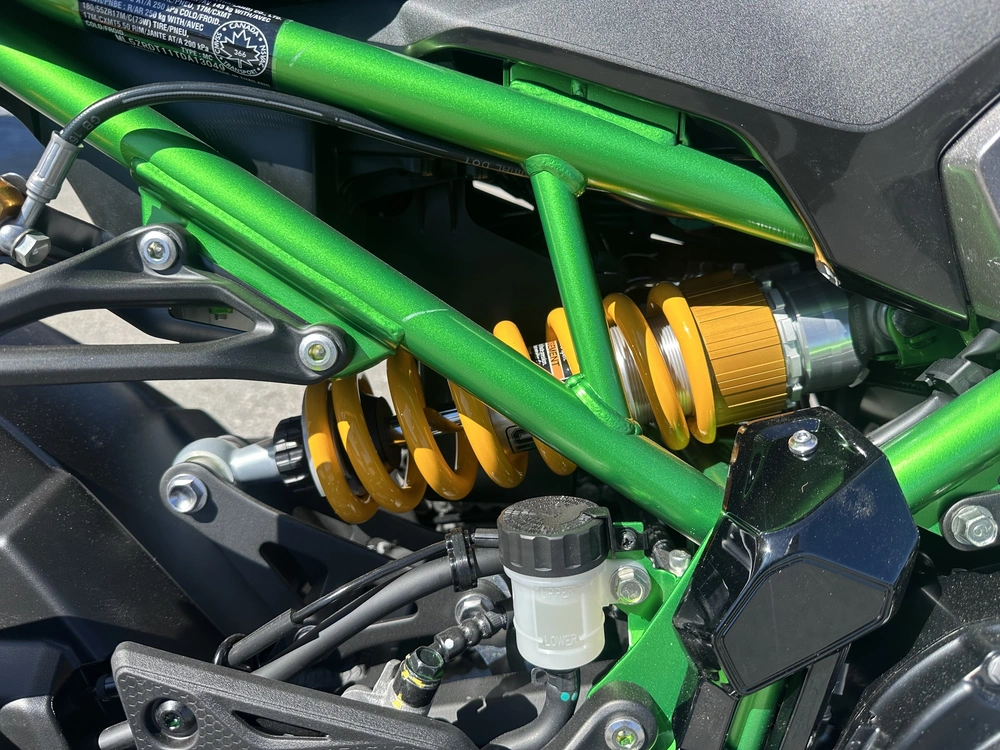 2026 Kawasaki Z900 Se alt