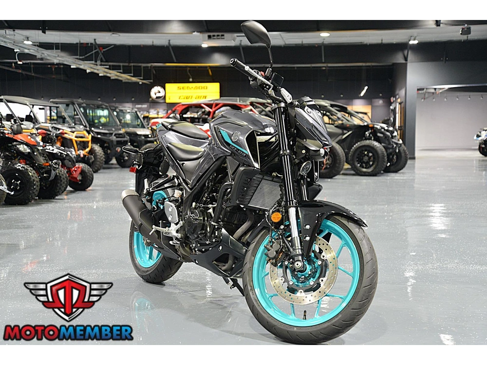 2024 Yamaha Mt-03 alt