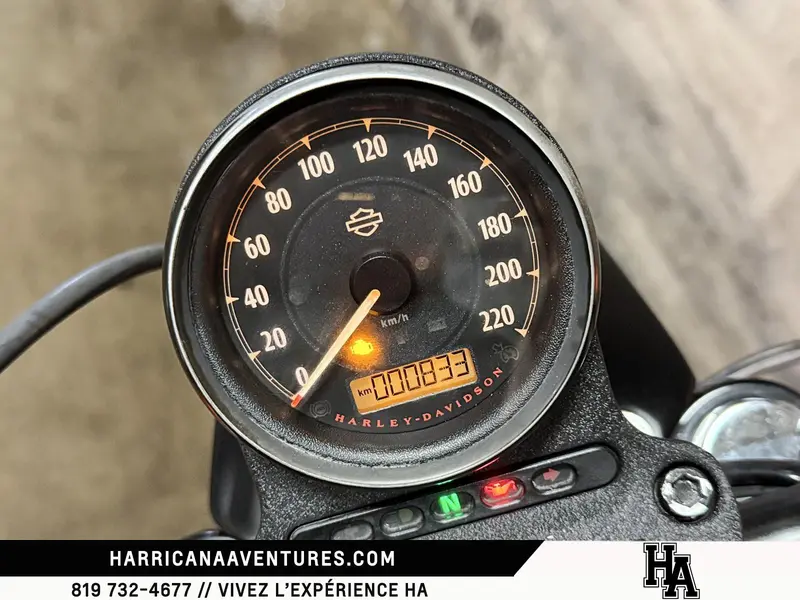 2019 Harley-Davidson XL883N IRON thumbnail 9