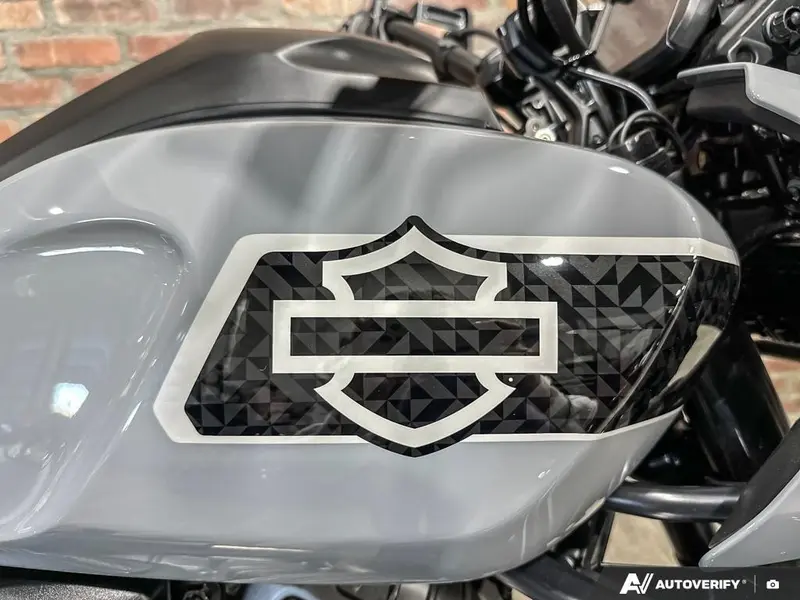 2026 Harley-Davidson PAN AMERICA 1250 SPECIAL thumbnail 23