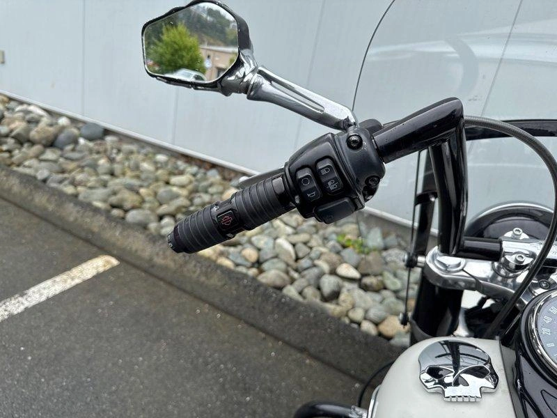 2018 Harley-davidson Flsl - Softail Slim alt