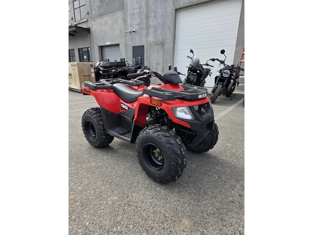 2017 Arctic Cat Alterra 90 alt