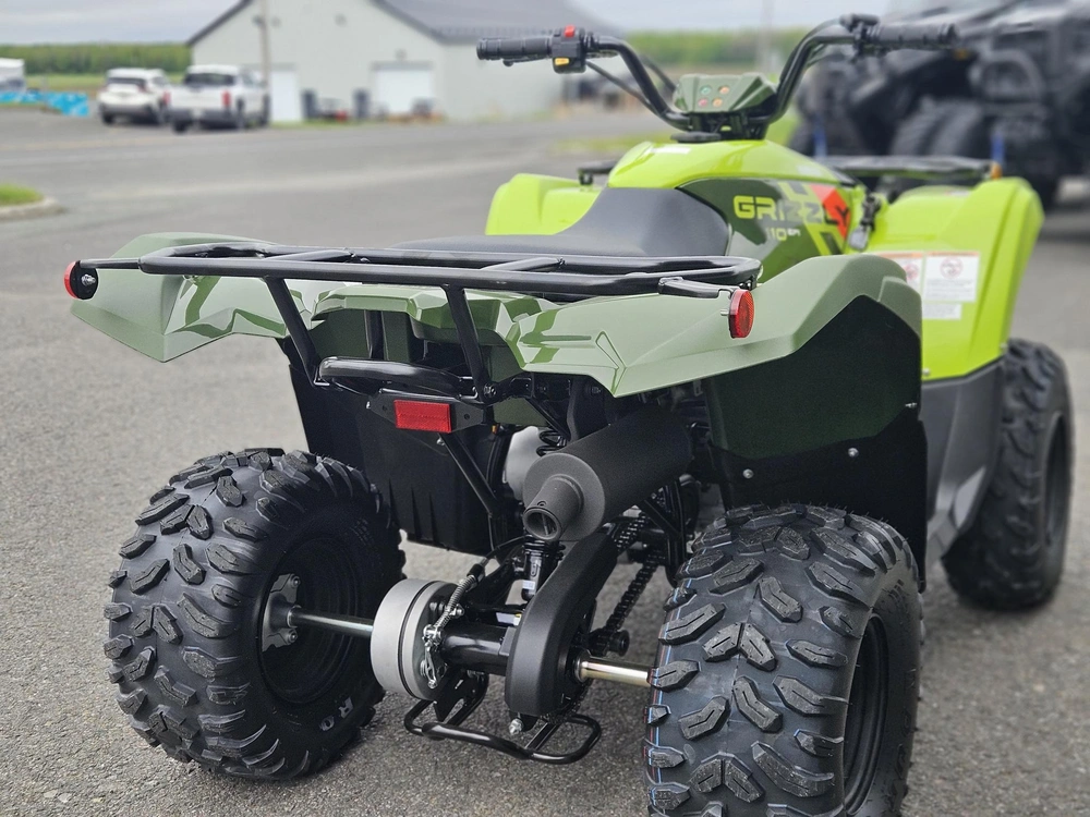 Yamaha Grizzly 110 2026 alt