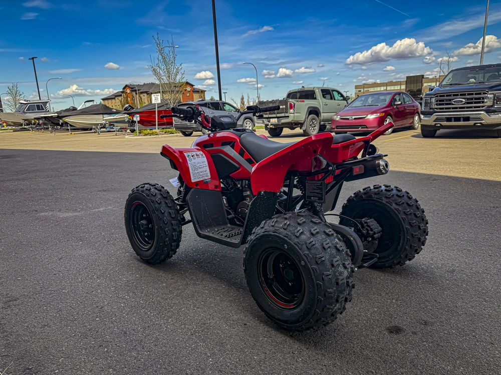 2026 Cfmoto Cforce 110 Classic alt