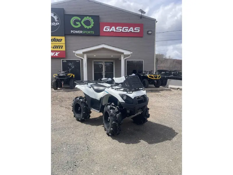 2023 Kawasaki Brute Force 750 4x4i EPS thumbnail 2