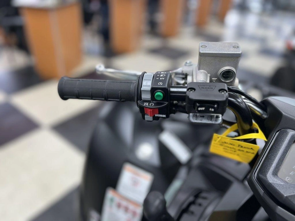 2026 Yamaha Grizzly Eps Xt-r alt