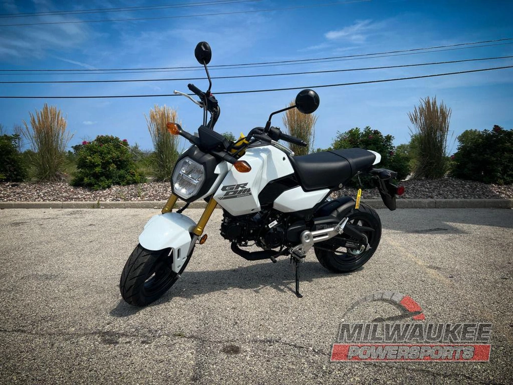2026 Honda Grom alt