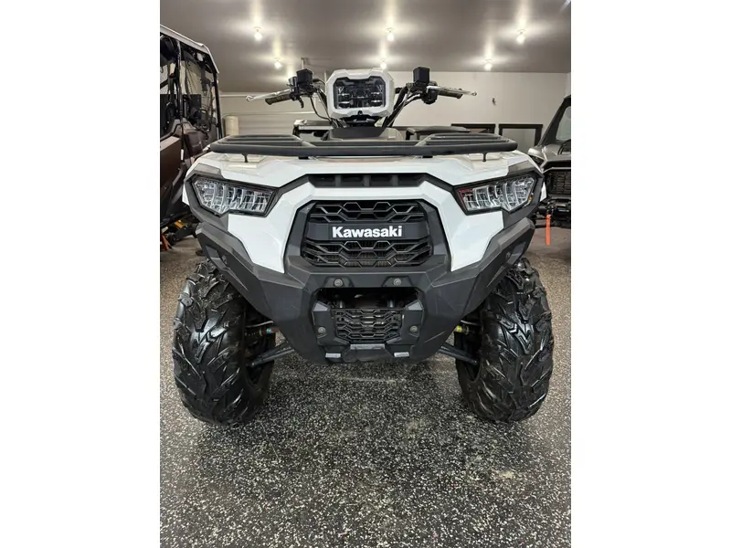 2025 Kawasaki BRUTE FORCE 450 thumbnail 5