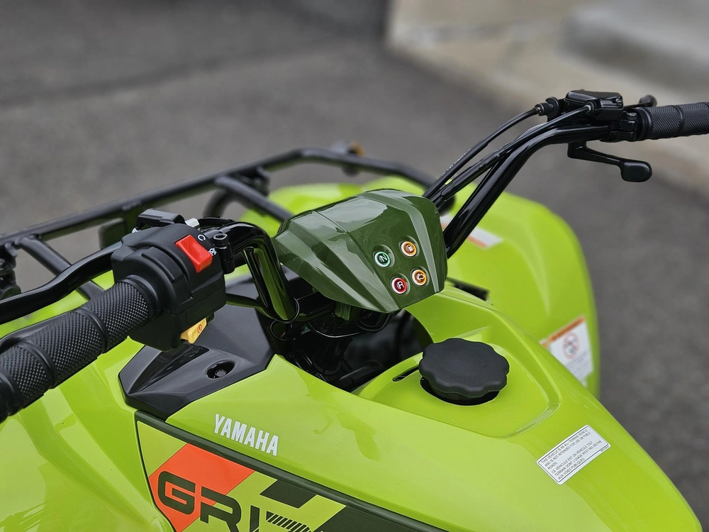 Yamaha Grizzly 110 2026 alt