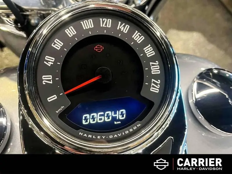 2019 Harley-Davidson Moto Harley-Davidson DELUXE 2019 thumbnail 14