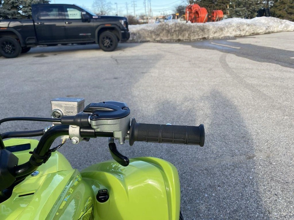 2026 Yamaha Raptor 700r Se alt