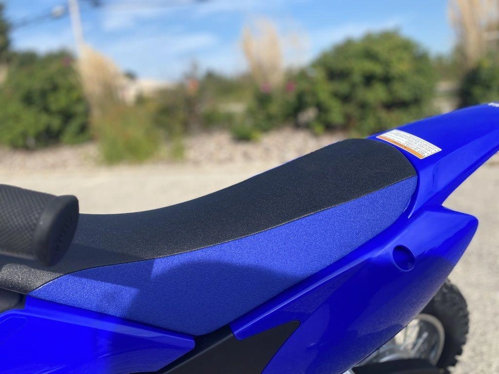 2026 Yamaha Tt-r110e alt