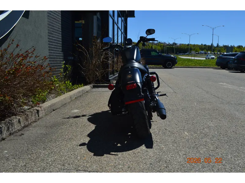2022 Harley-Davidson XL883N thumbnail 3