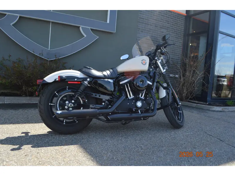 2022 Harley-Davidson XL883N thumbnail 3