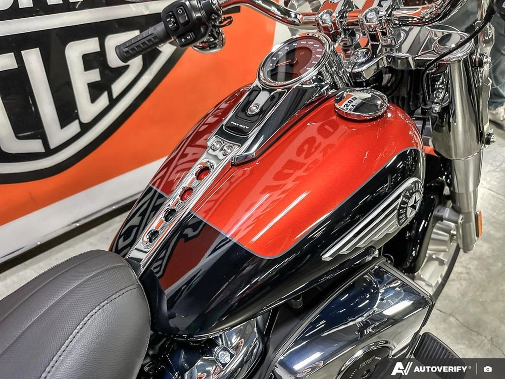 2025 Harley-davidson Fat Boy alt