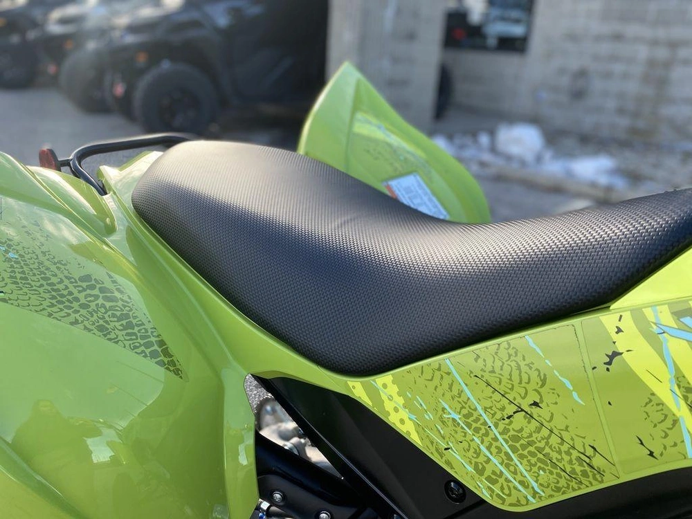 2026 Yamaha Raptor 700r Se alt