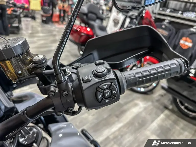 2026 Harley-Davidson PAN AMERICA 1250 SPECIAL thumbnail 13