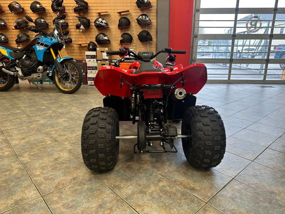 Cfmoto Cforce 110 Classic 2026 alt