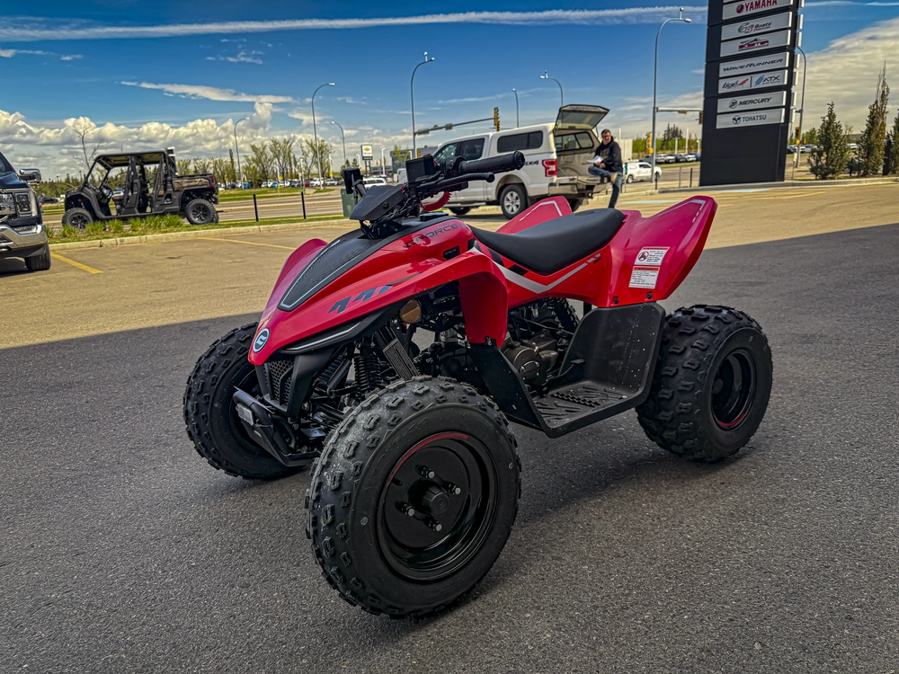 2026 Cfmoto Cforce 110 Classic alt