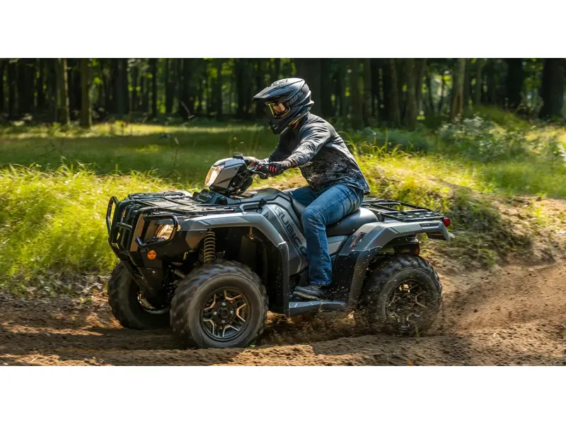 Honda Rubicon 520 DCT IRS EPS Deluxe ( PRE-COMMANDE ) 2027