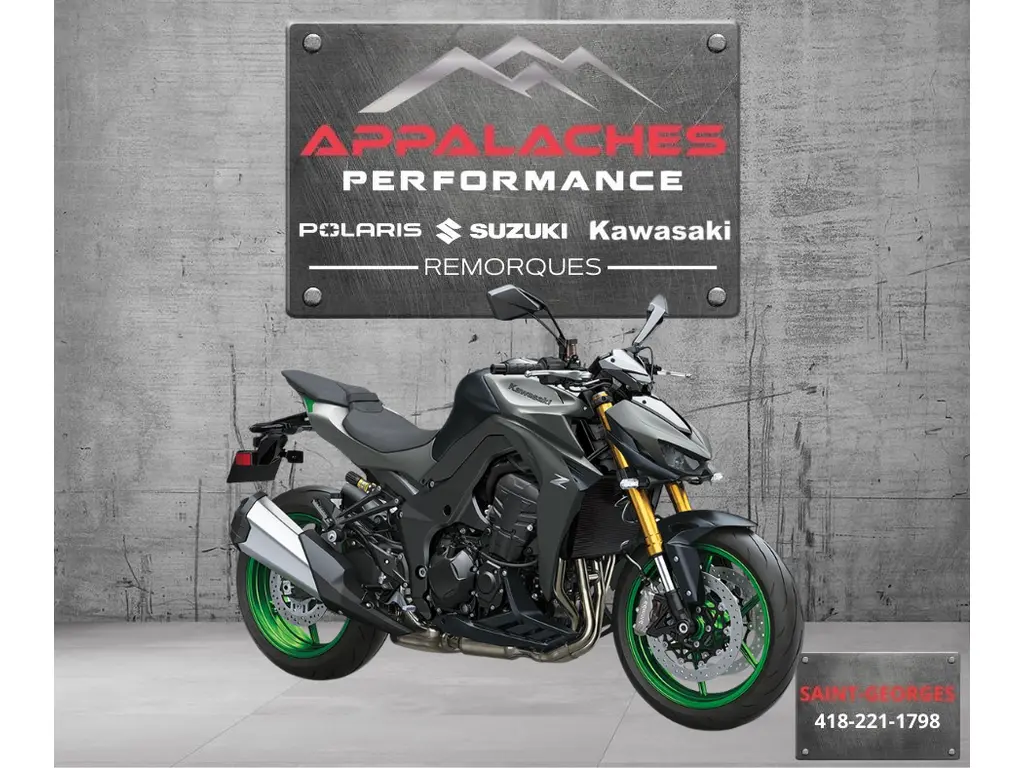 Kawasaki Z1100 SE ABS 2026