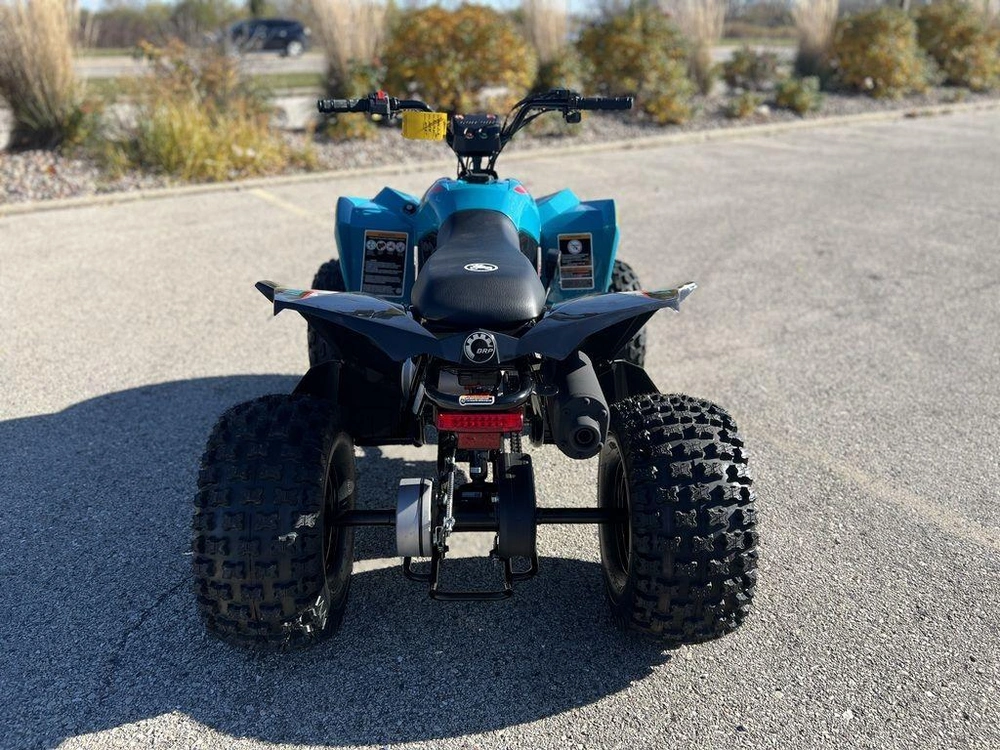 2026 Can-am Renegade 110 Efi alt