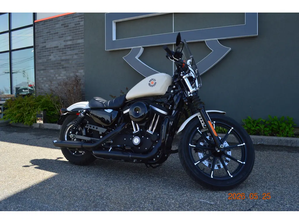 Harley-Davidson XL883N  2022