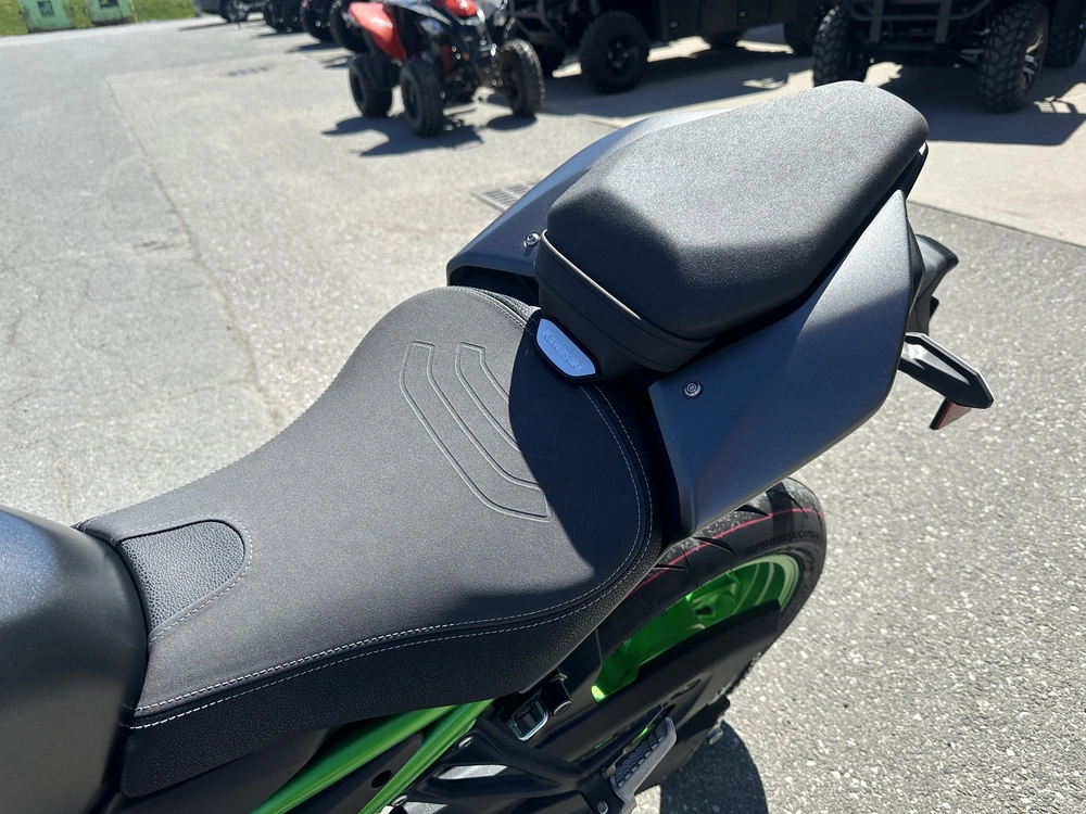 2026 Kawasaki Z900 Se alt