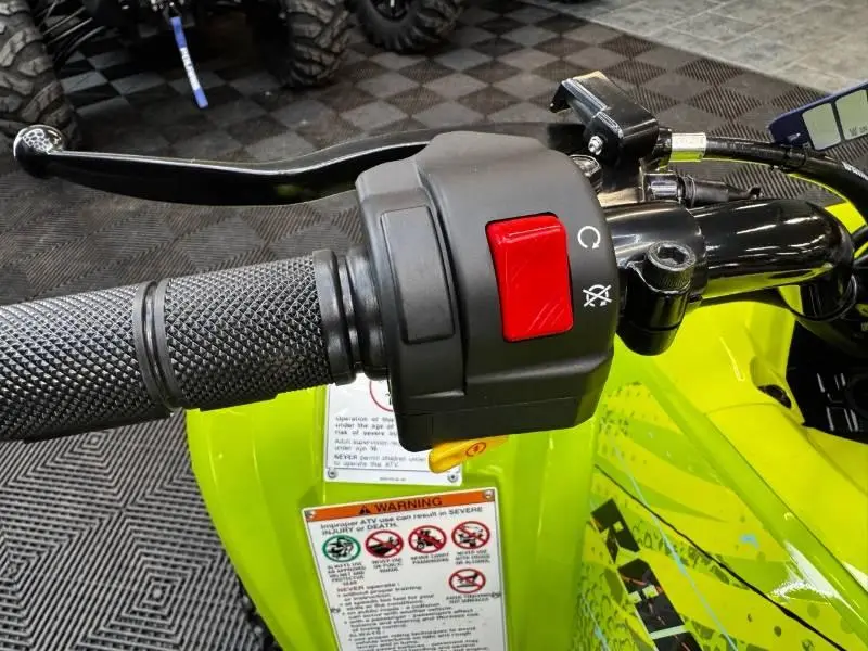 2026 Yamaha Raptor 110 thumbnail 12
