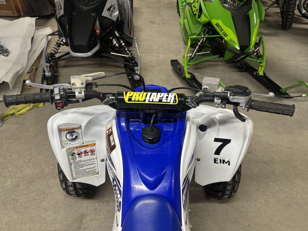 Yamaha Raptor 700 2017 alt