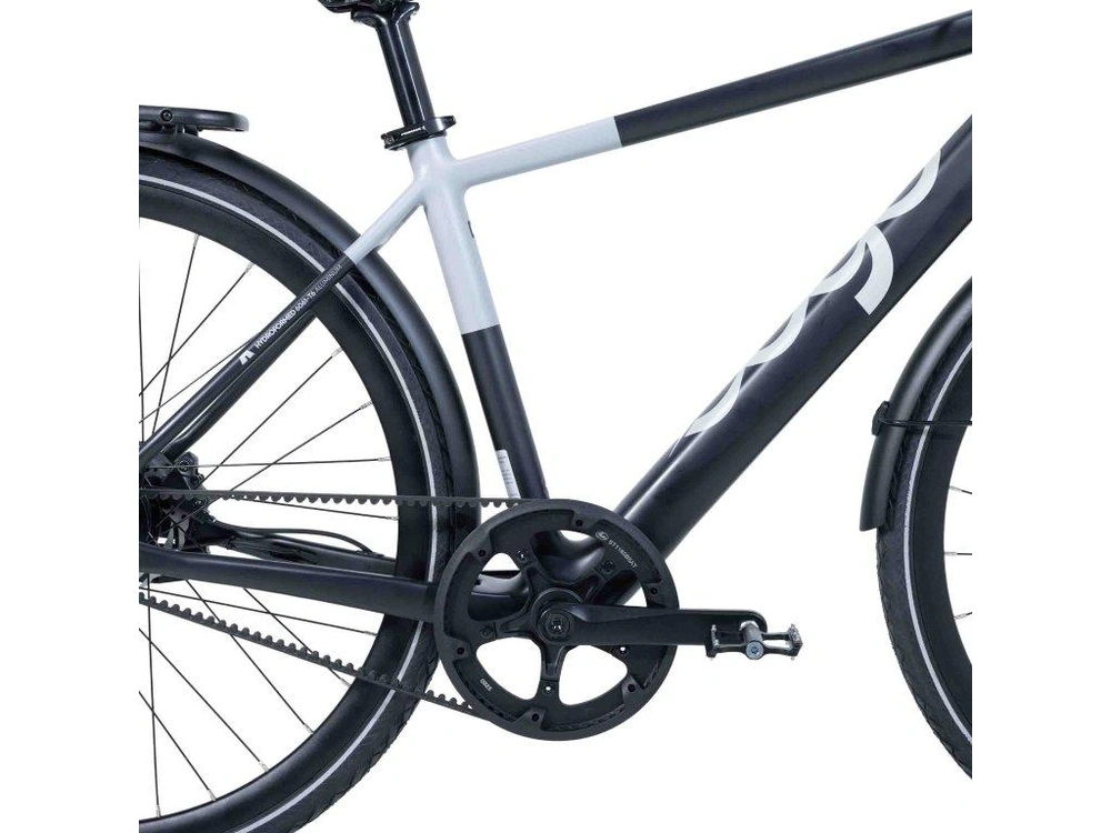 2026 Other Modal Top Bar 350w alt