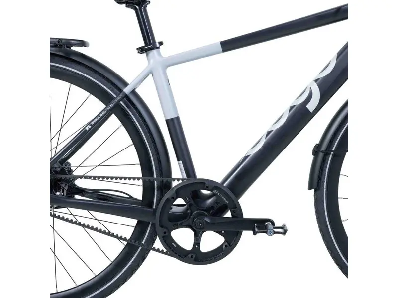 2026 Other Modal Top Bar 350W thumbnail 2