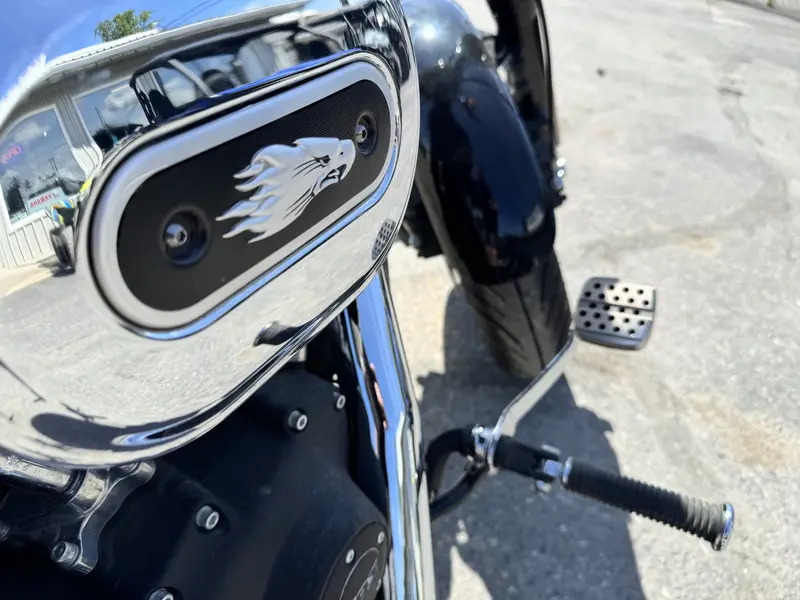 2013 Harley-Davidson DYNA FAT BOB (FXDF 103) thumbnail 12