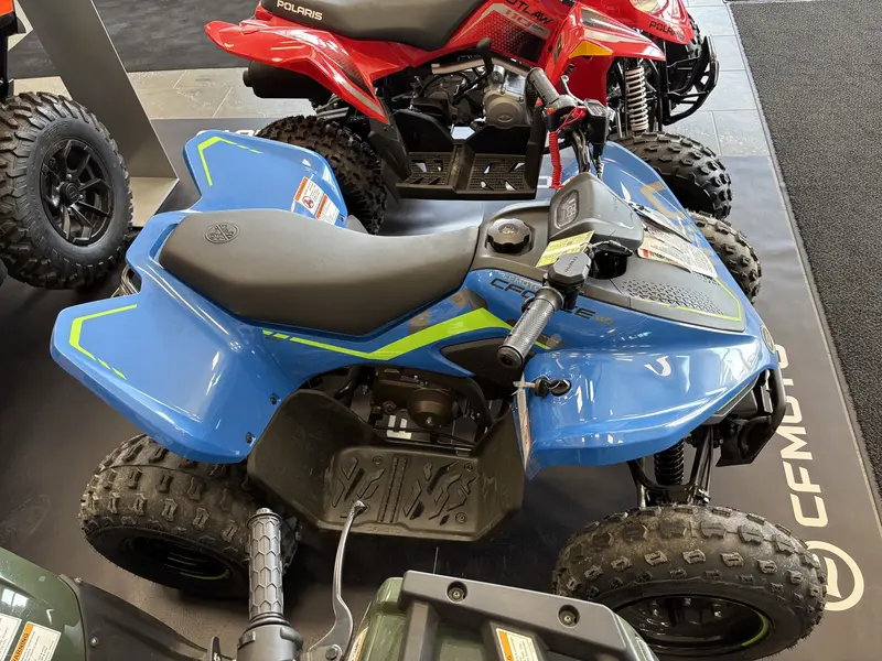 2026 CFMOTO Cforce 110 Classic thumbnail 4