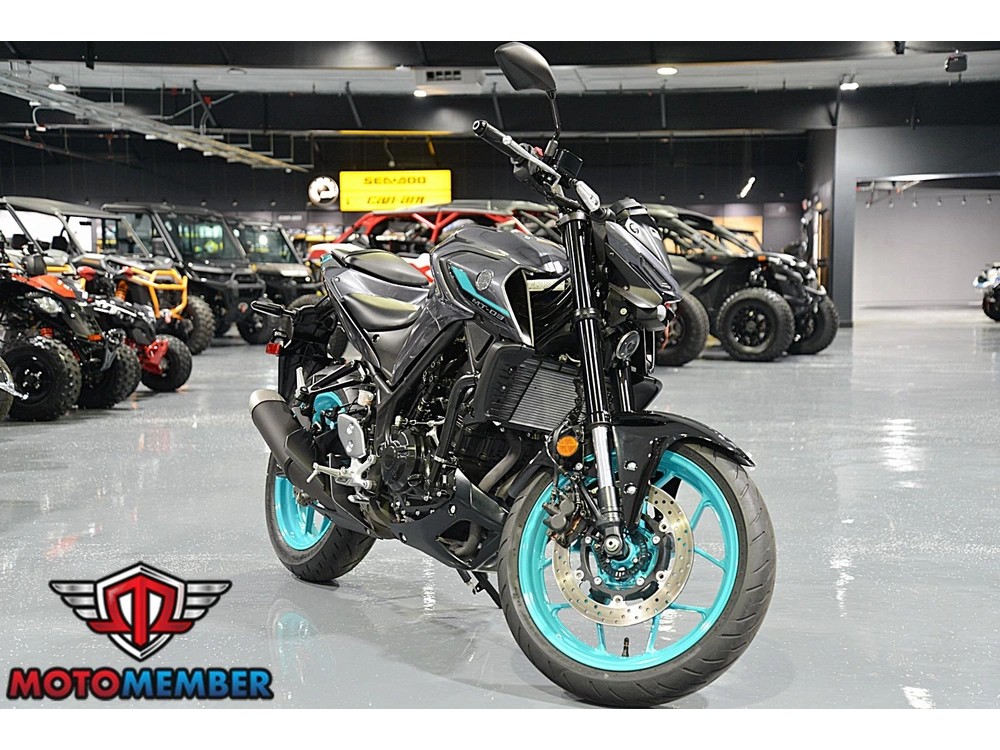 2024 Yamaha Mt-03 alt